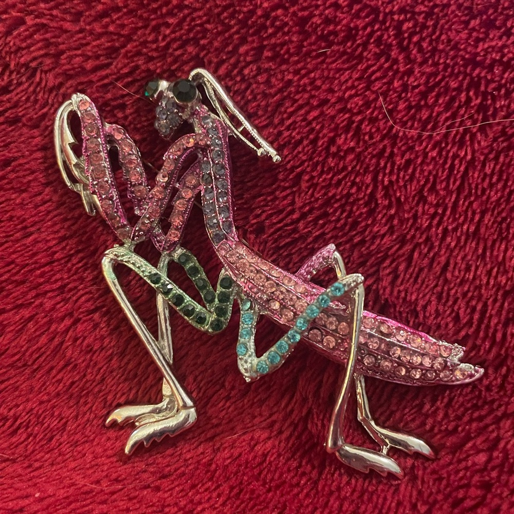 Colorful Rhinestone Praying Mantis Brooch